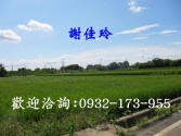 售桃園市中壢區青松農場-農地農地3,184萬